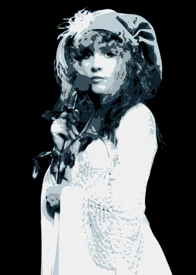 Stevie Nicks