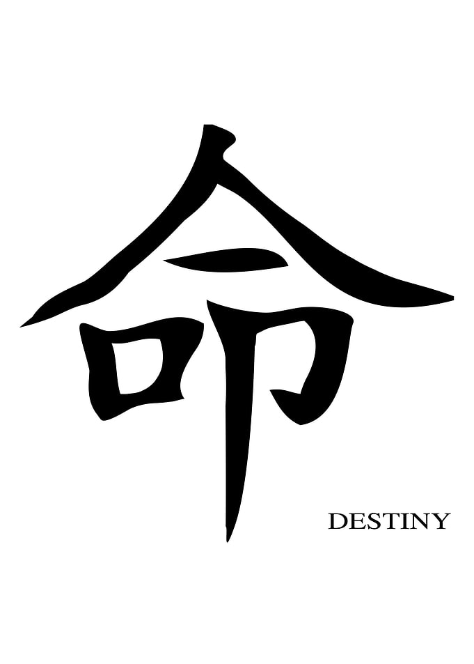 Destiny Chinese Character