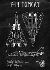 F14 TOMCAT