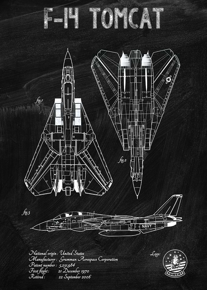 F14 TOMCAT