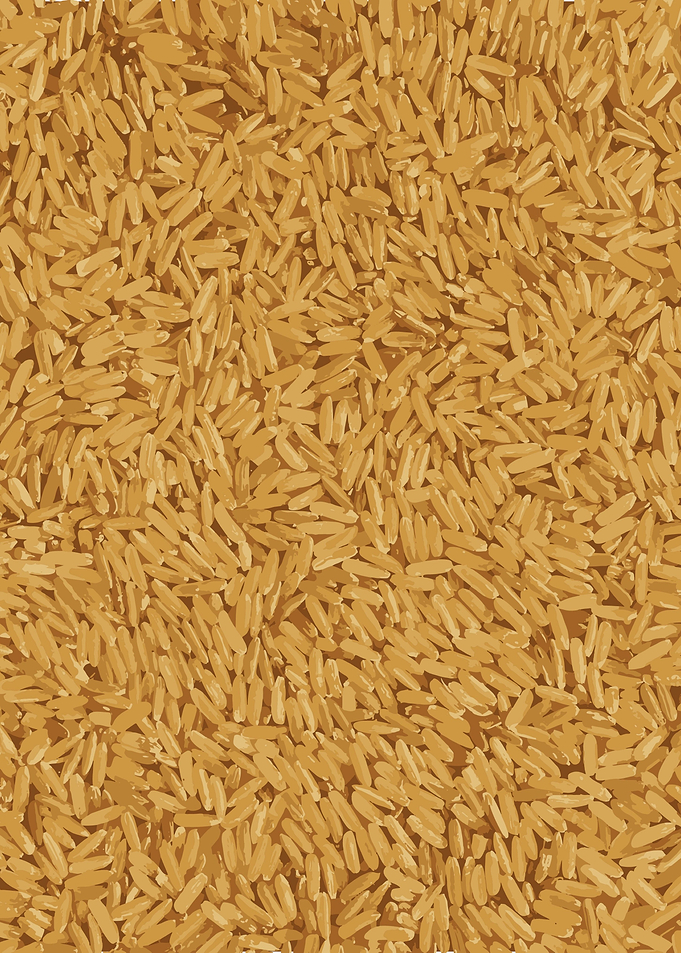 Brown Rice