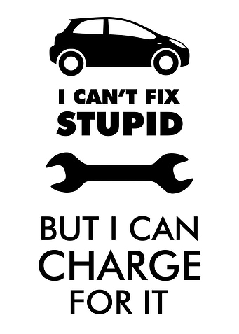 I Cant Fix Stupid Garage