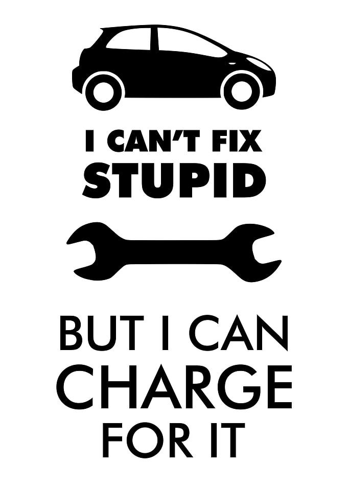 I Cant Fix Stupid Garage