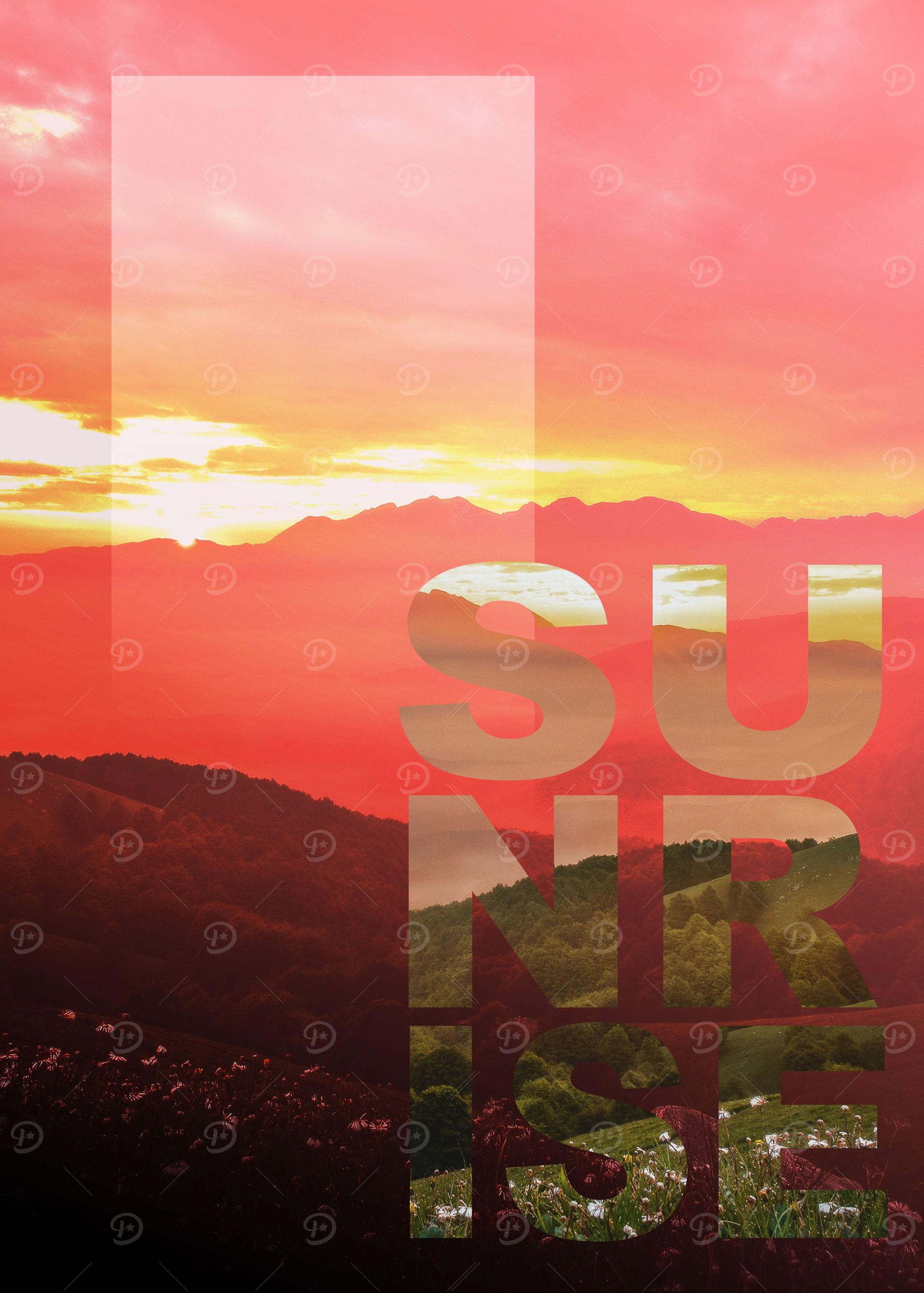 Pinky Sunrise