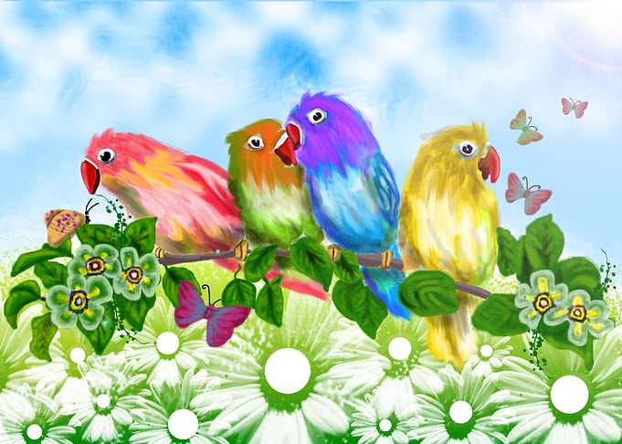 love bird
