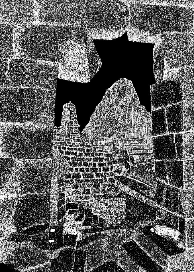 Machu Picchu Black