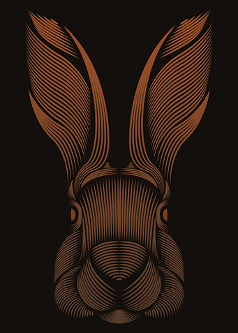 Rabbit animal line art