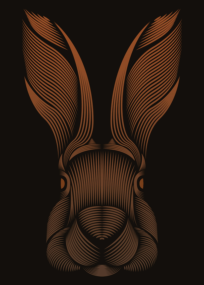 Rabbit animal line art