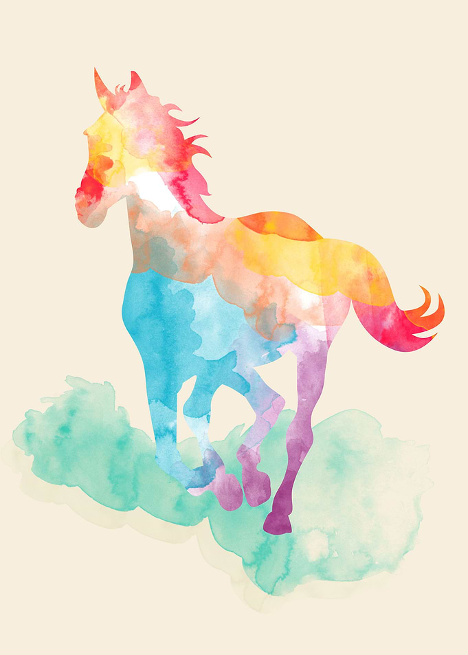 wild wild horse