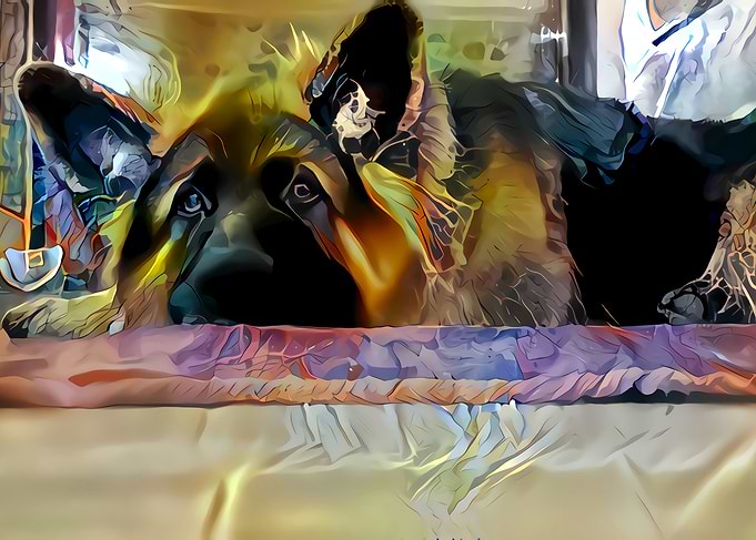 Digital Art Animal