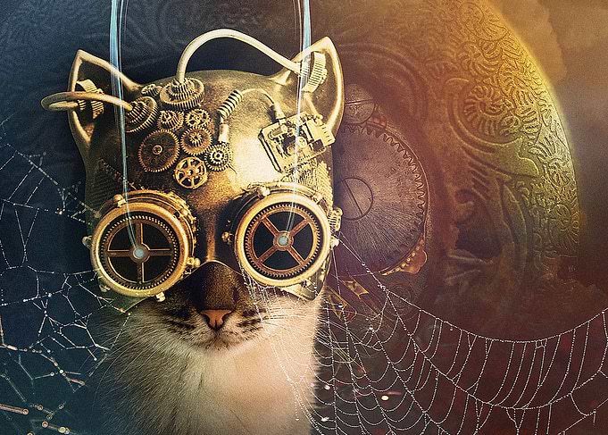 Cat