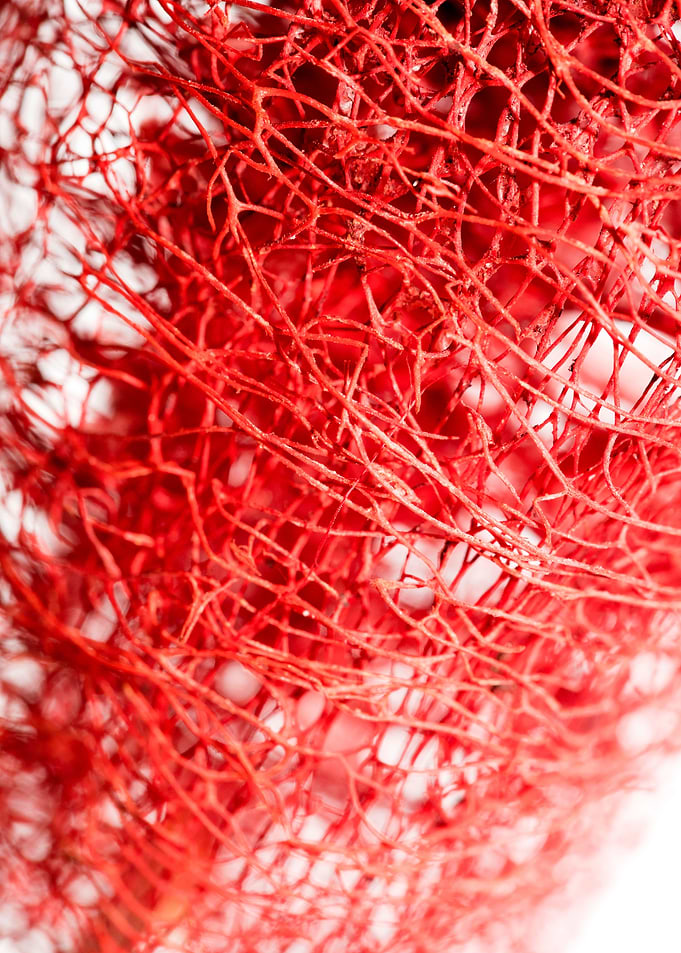 Trippy potpourri abstract