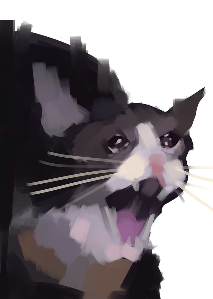 No context crying cat