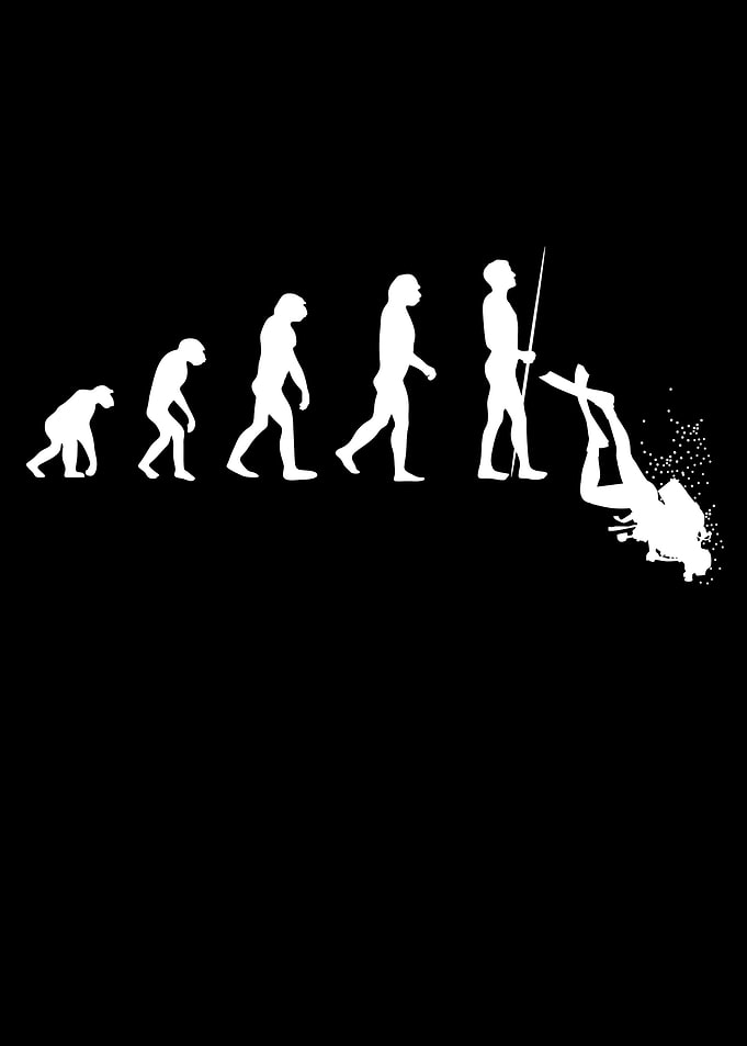 Evolution Diving