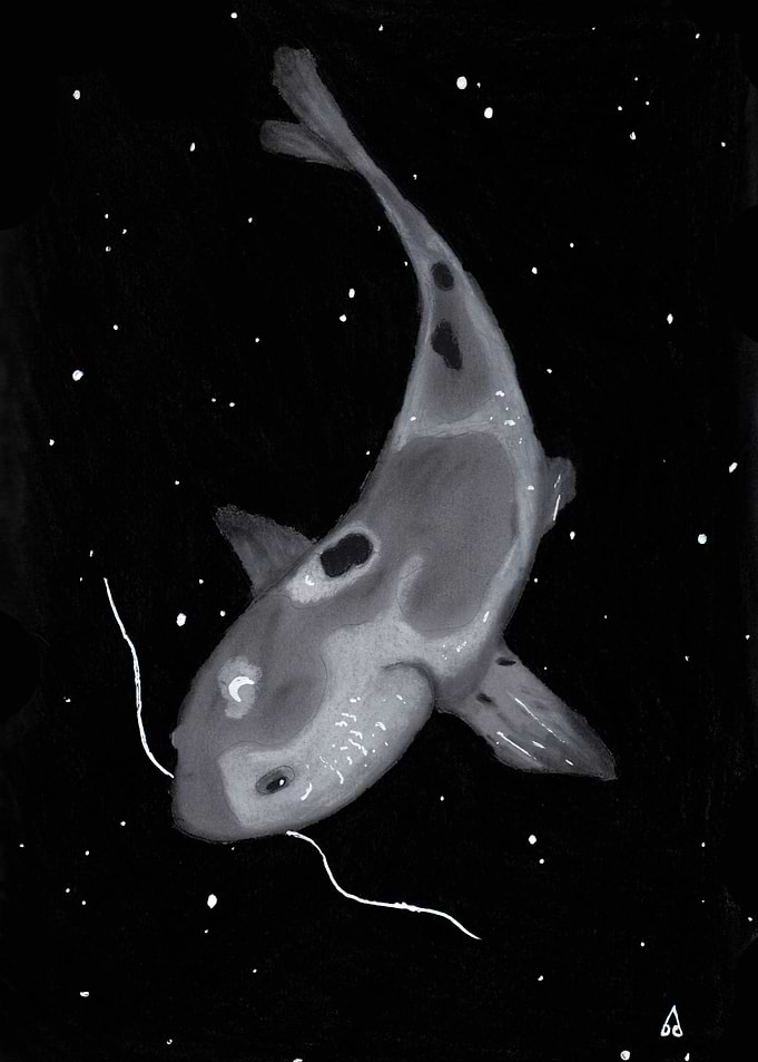 Galaxy Koi Fish