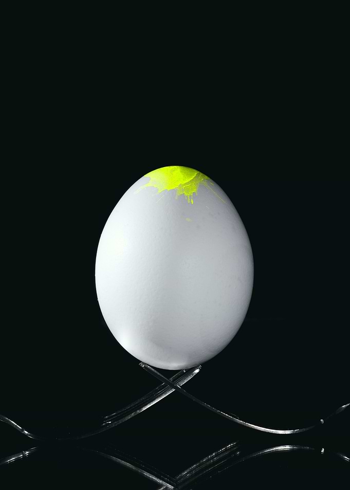 Fork Egg and Yellow