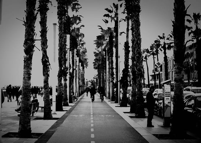 the Path Ahead