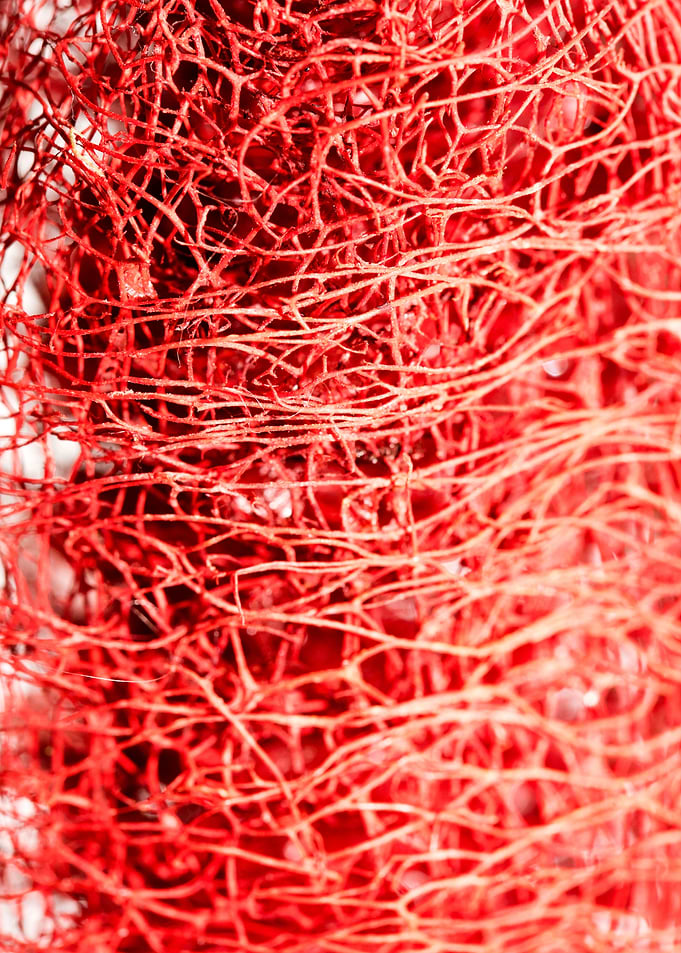 Trippy potpourri abstract