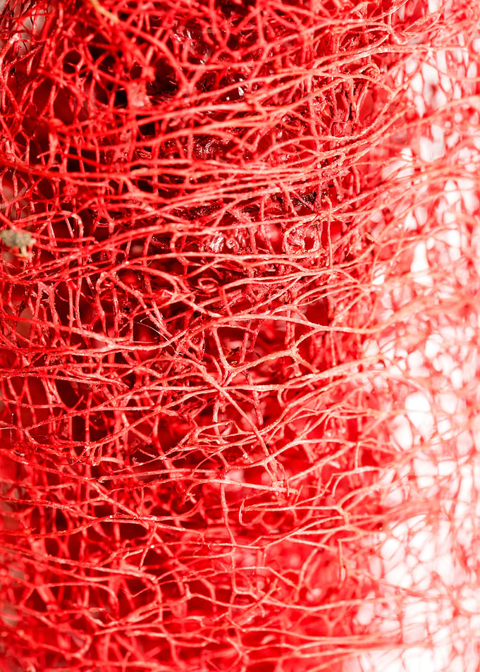 Trippy potpourri abstract