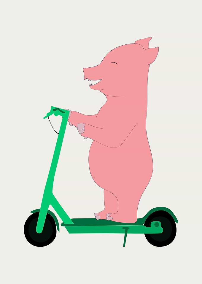 Pig scooter