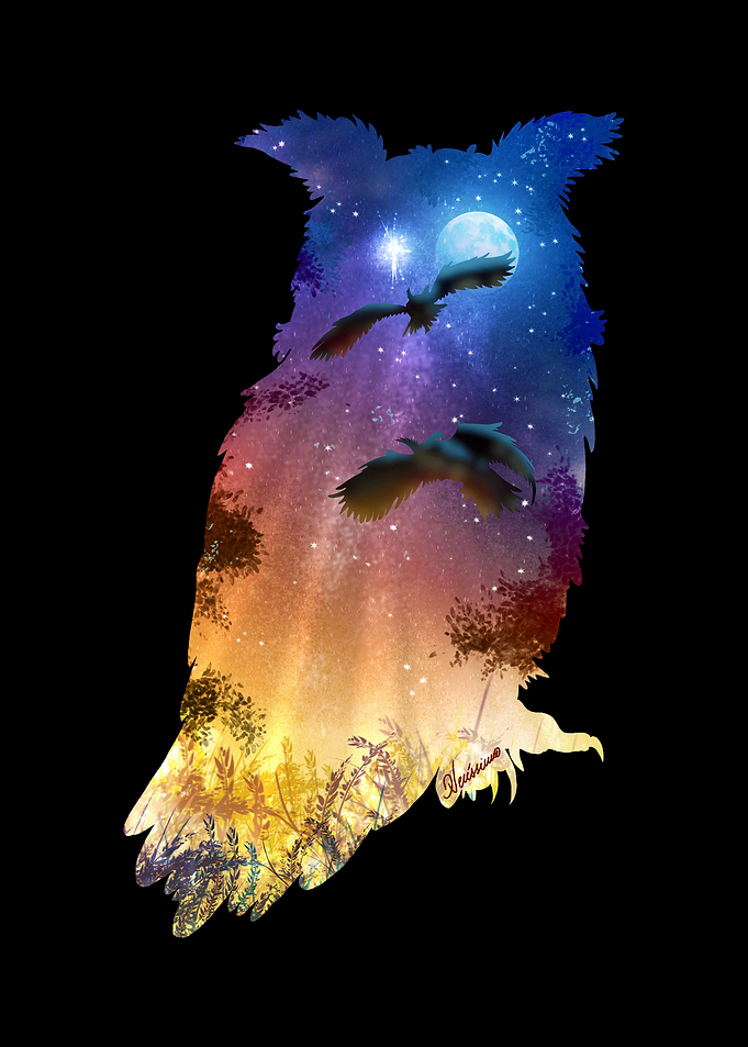 Owls Hour