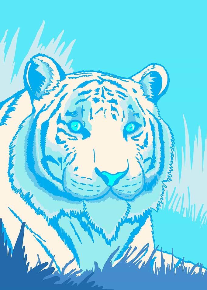 The blue tiger
