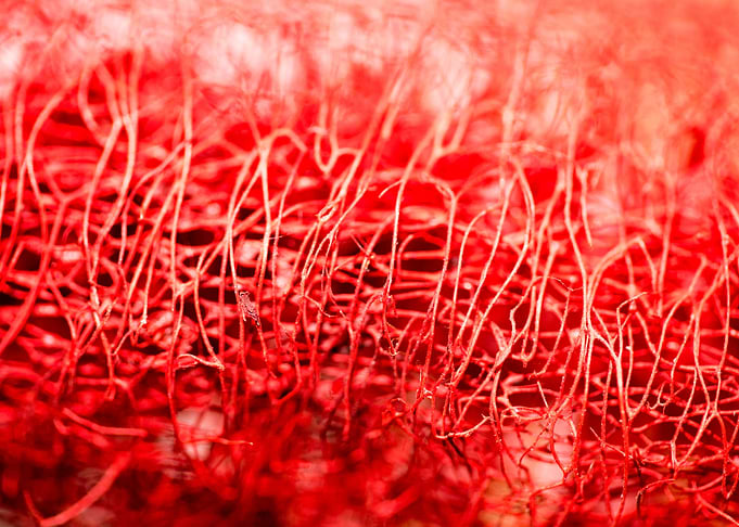 Trippy potpourri abstract