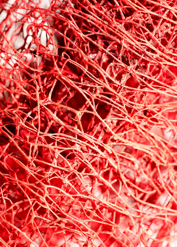 Trippy potpourri abstract