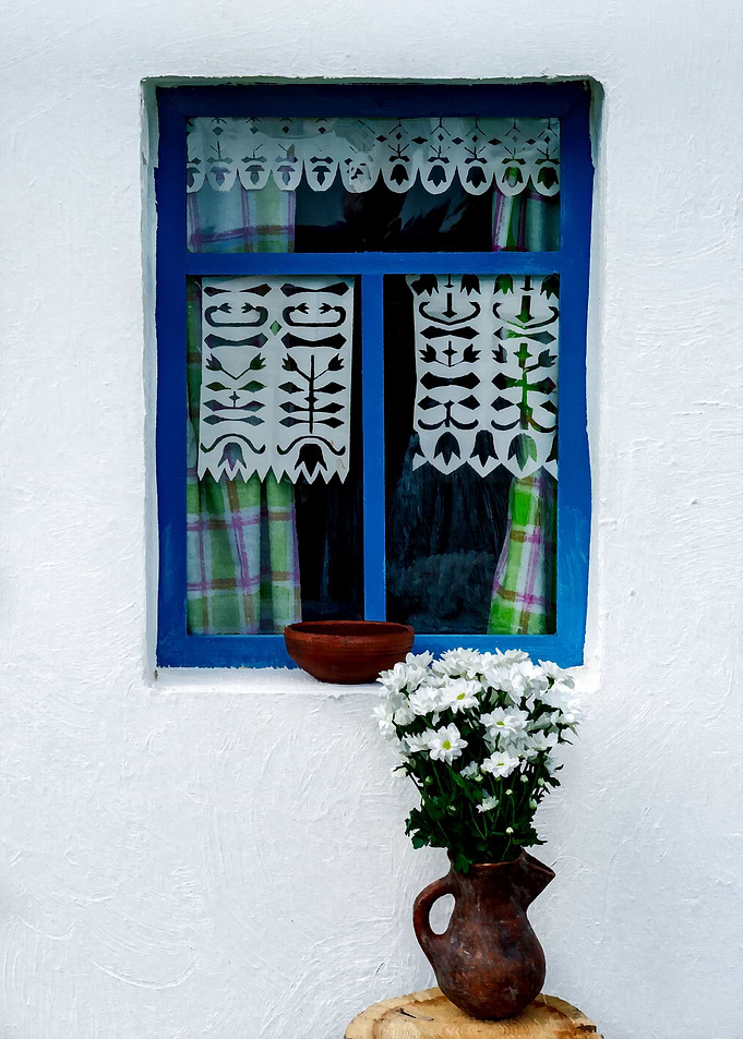 Blue Window White Flowers