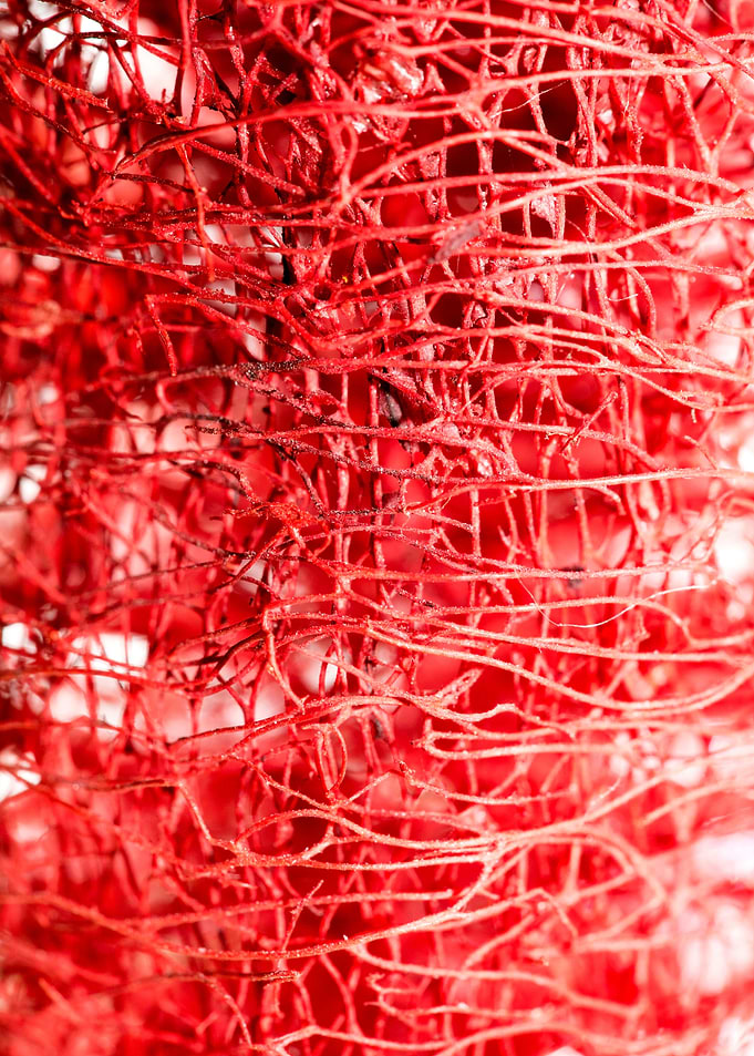 Trippy potpourri abstract