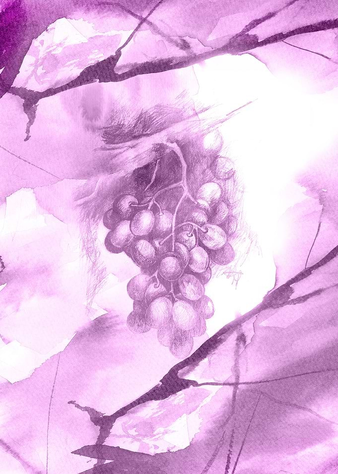 Grapes