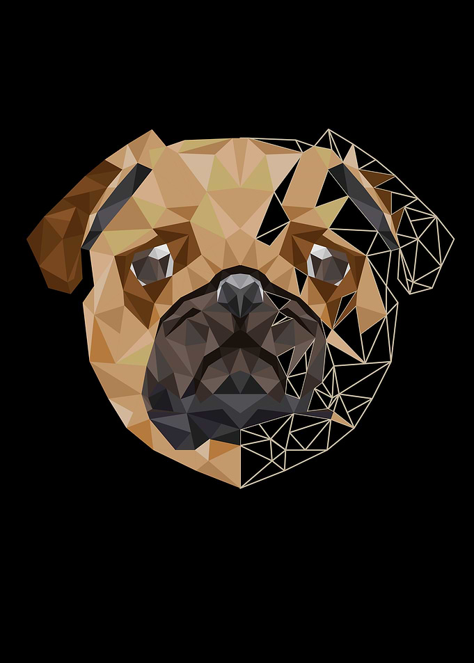 Pug Sketch