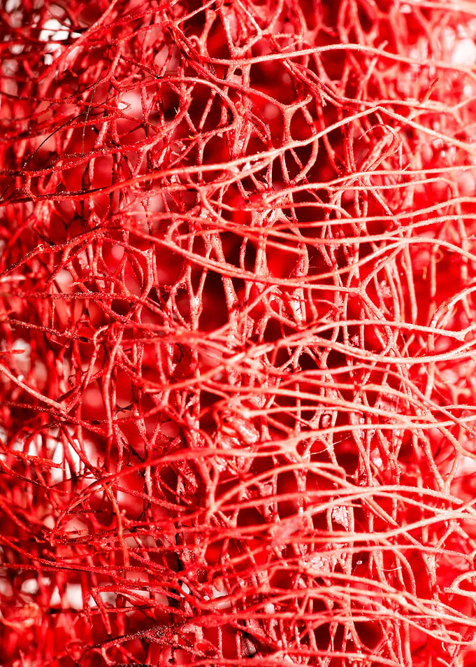 Trippy potpourri abstract