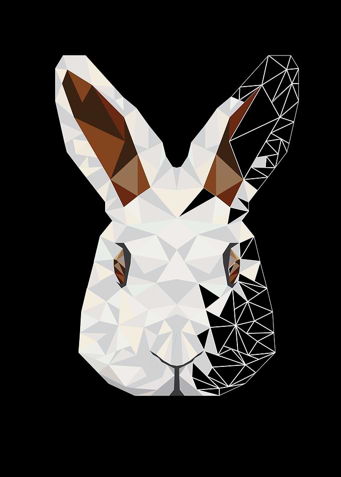 Rabbit Sketch