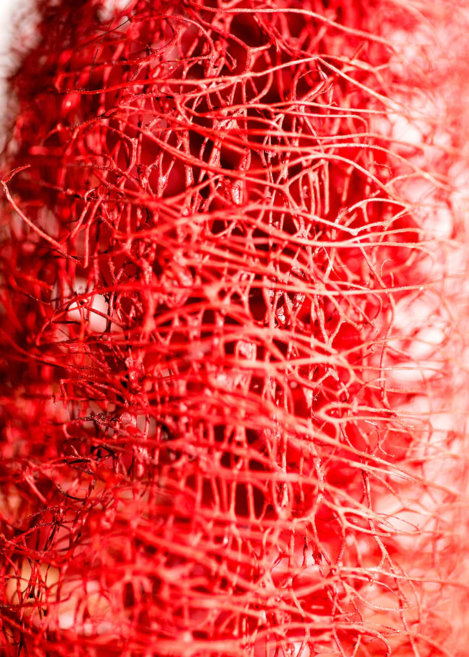 Trippy potpourri abstract
