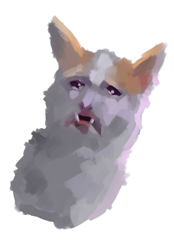 No context crying cat 2