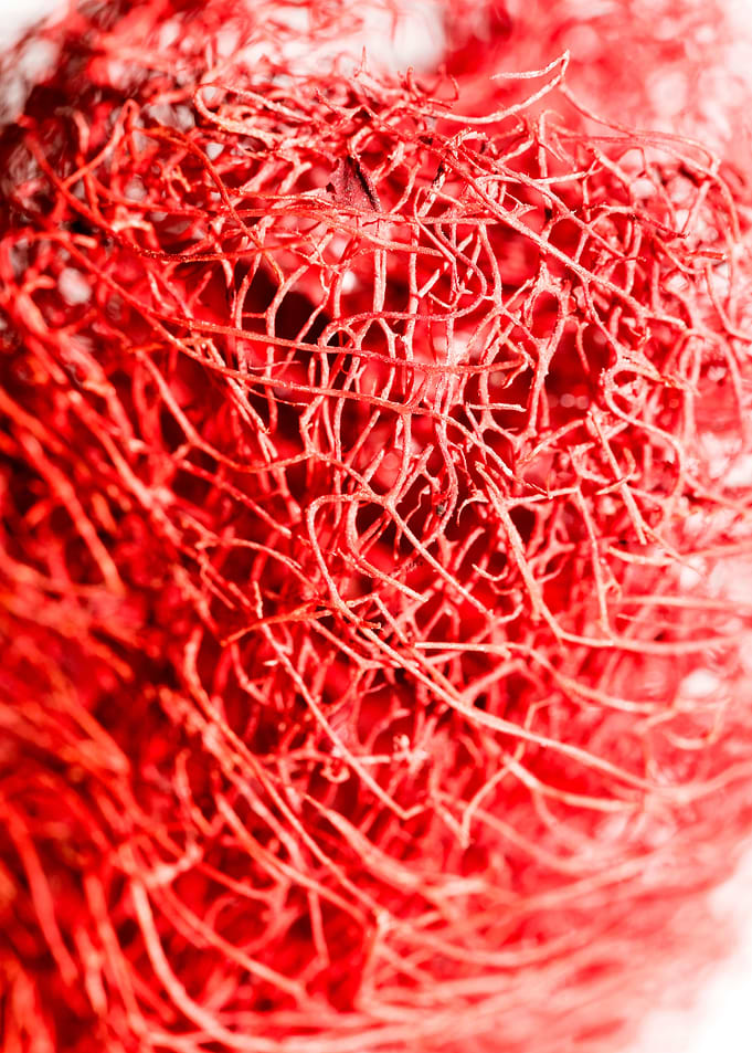Trippy potpourri abstract