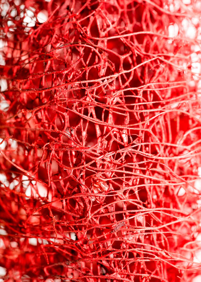 Trippy potpourri abstract