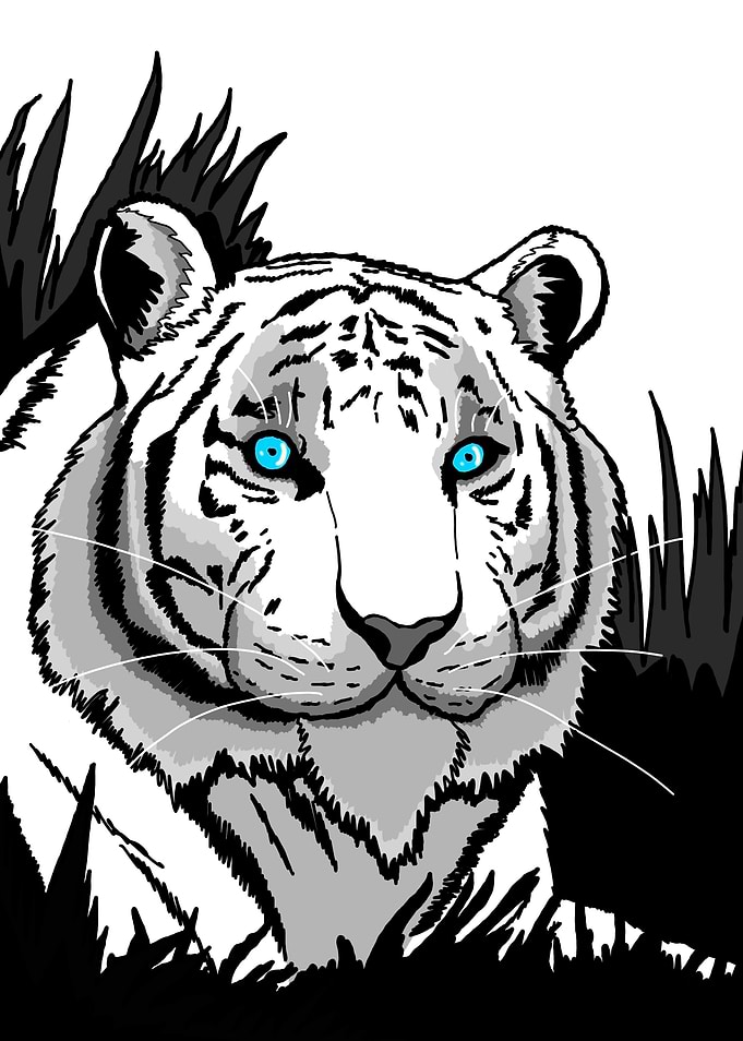 The white tiger