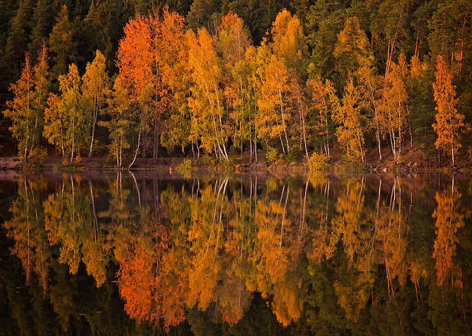 Maximum Autumn Mood