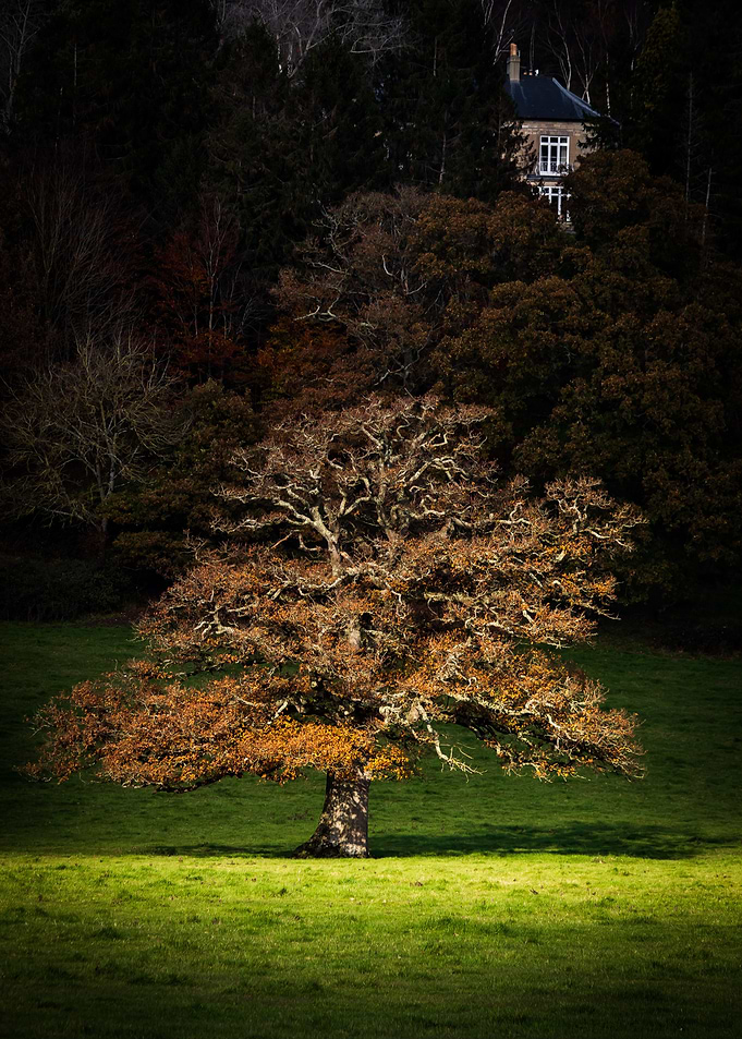 Autumn At Axminster