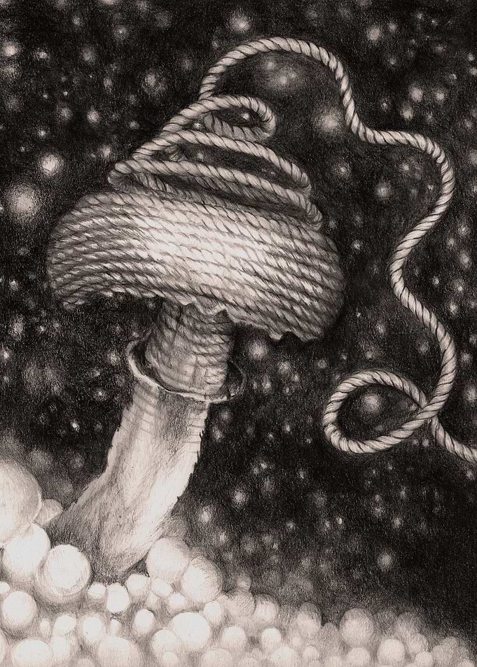 Dreamed mushroom