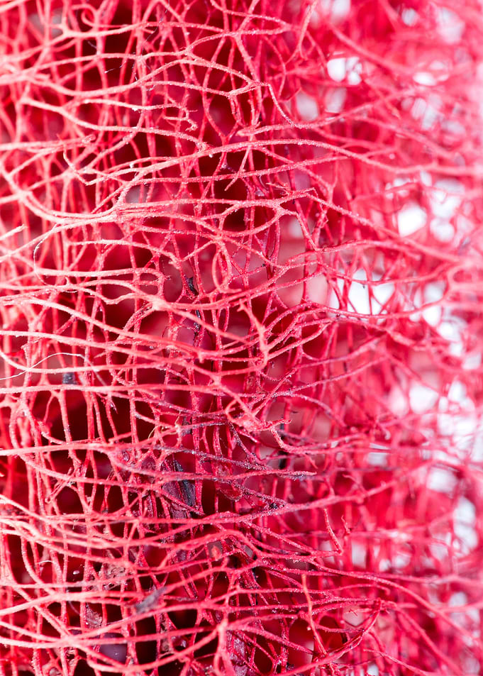 Trippy potpourri abstract