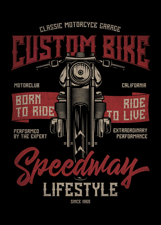 Custom Bike