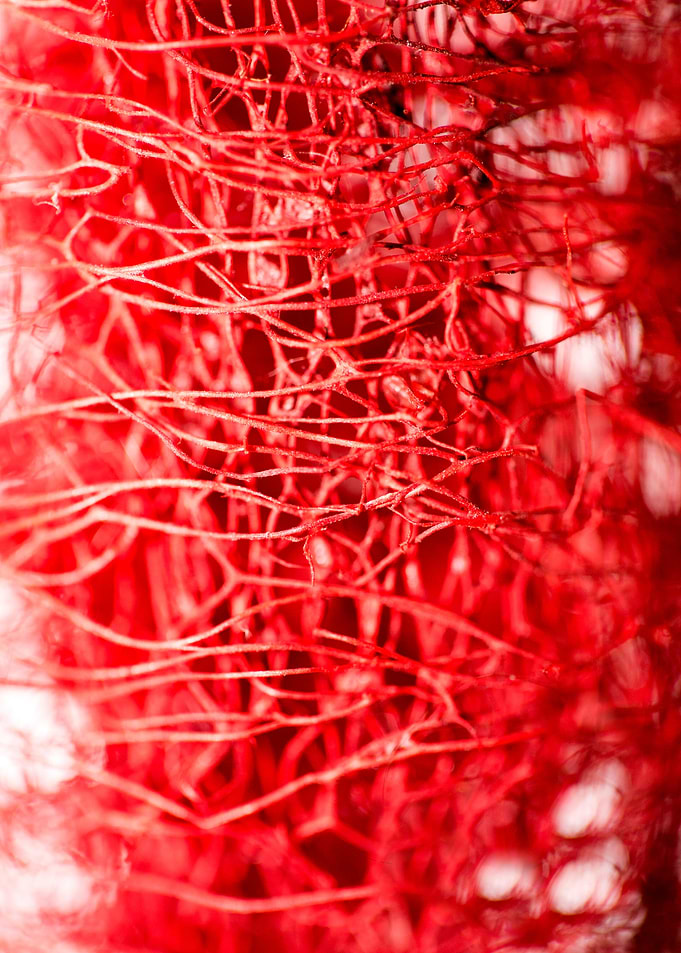 Trippy potpourri abstract