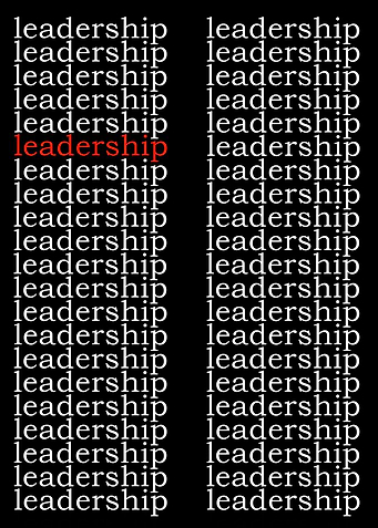 leadership
