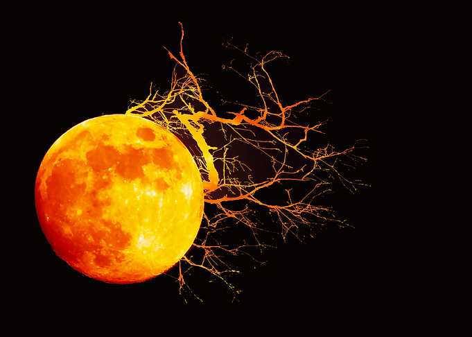 Moon Samhain