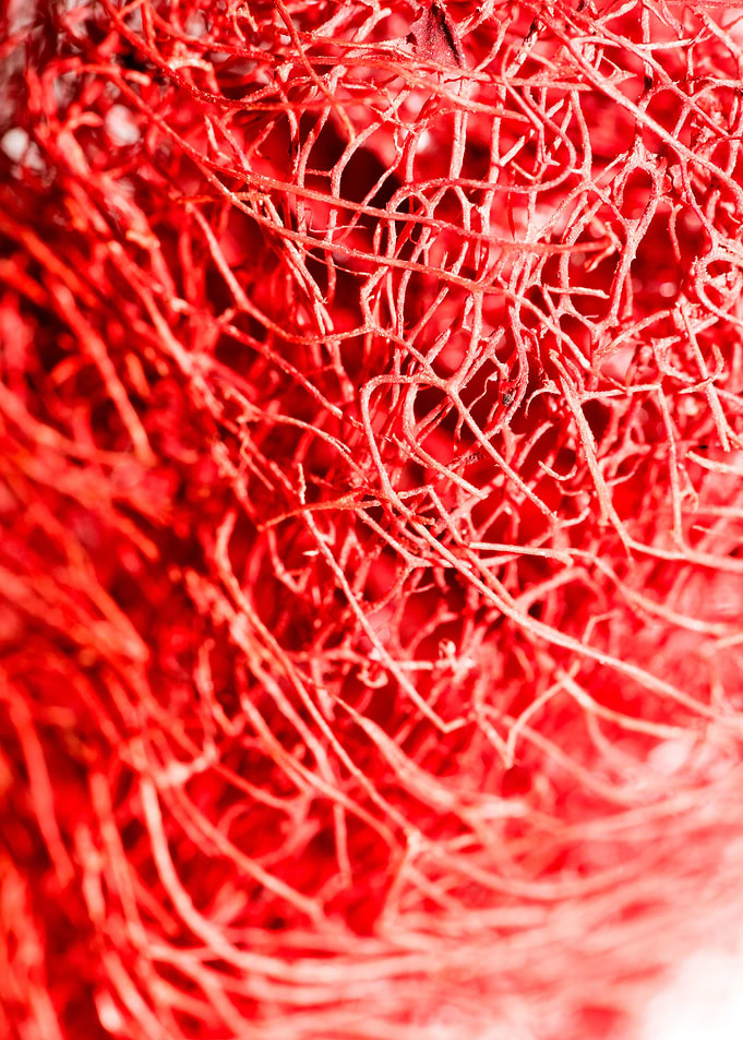 Trippy potpourri abstract