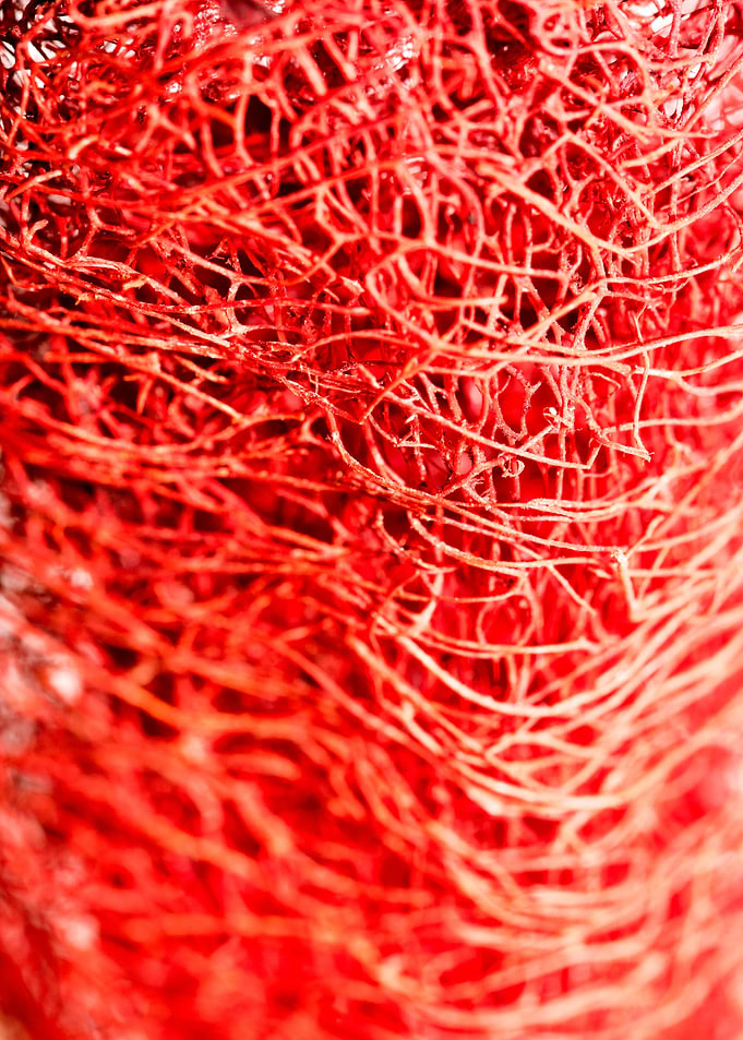 Trippy potpourri abstract