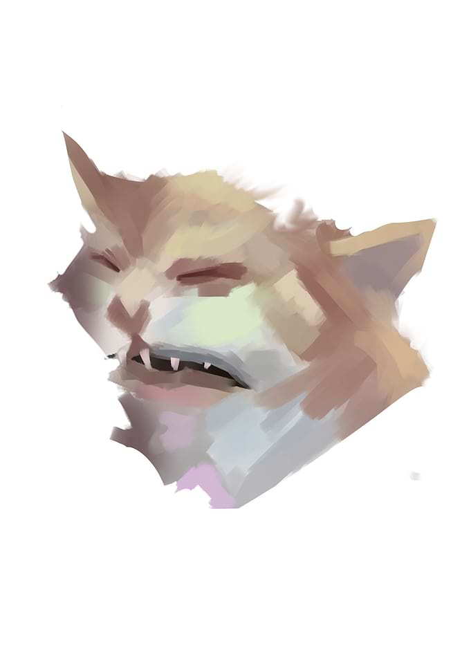 No context cringe cat 2